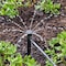 Raindrip Raindrip Full-Circle Drip Irrigation Bubbler 13 gph 5 pk 156005B - alternate 4